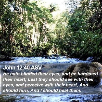 John 12:40 ASV Bible Verse Image