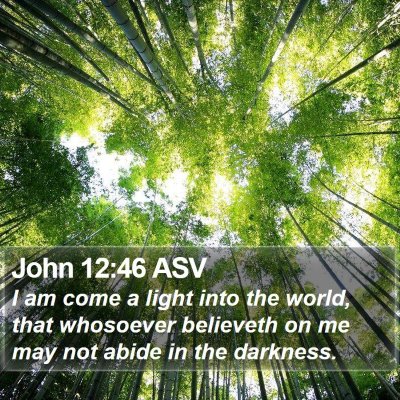 John 12:46 ASV Bible Verse Image
