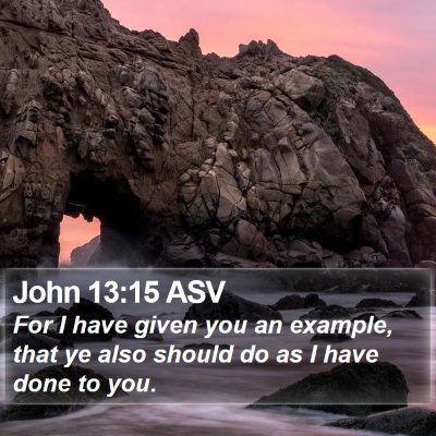 John 13:15 ASV Bible Verse Image