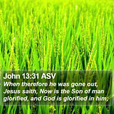 John 13:31 ASV Bible Verse Image