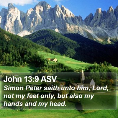John 13:9 ASV Bible Verse Image