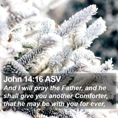 John 14:16 ASV Bible Verse Image