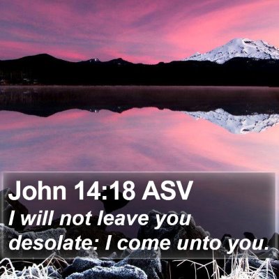 John 14:18 ASV Bible Verse Image