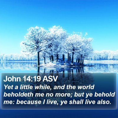 John 14:19 ASV Bible Verse Image