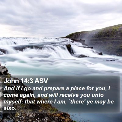 John 14:3 ASV Bible Verse Image