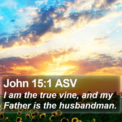 John 15:1 ASV Bible Verse Image