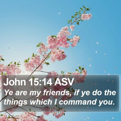 John 15:14 ASV Bible Verse Image