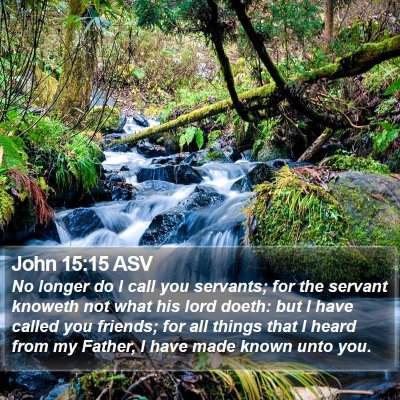 John 15:15 ASV Bible Verse Image