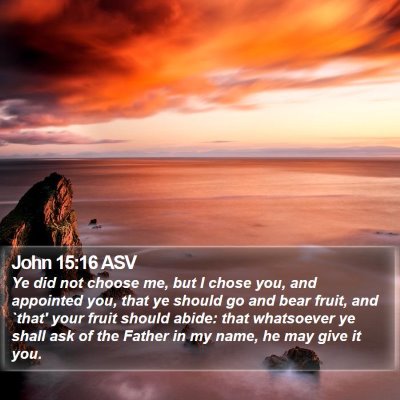 John 15:16 ASV Bible Verse Image