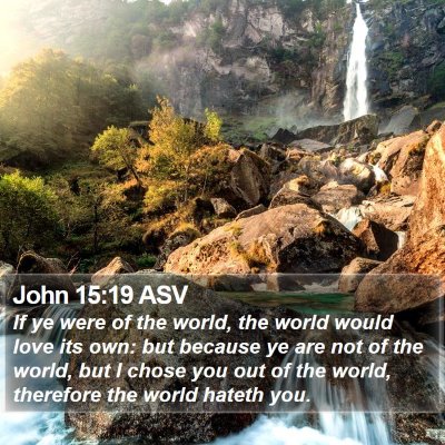 John 15:19 ASV Bible Verse Image