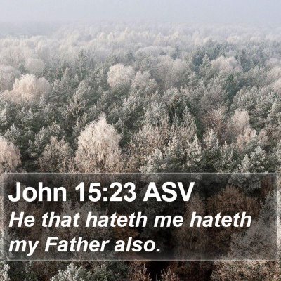 John 15:23 ASV Bible Verse Image