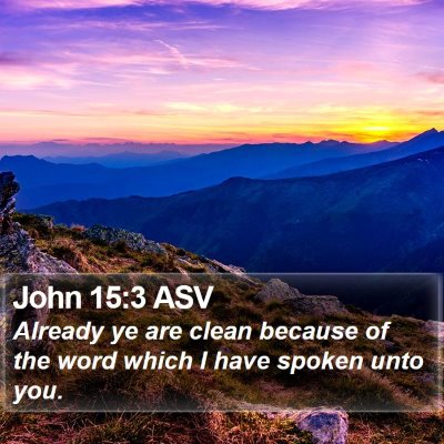 John 15:3 ASV Bible Verse Image