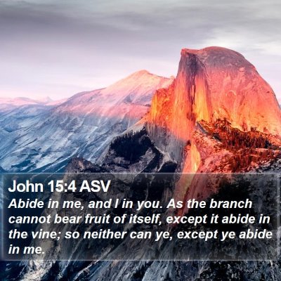 John 15:4 ASV Bible Verse Image