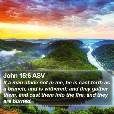 John 15:6 ASV Bible Verse Image