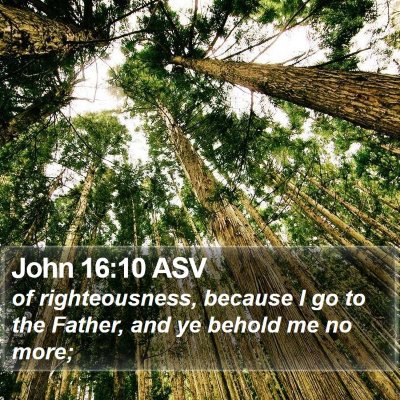John 16:10 ASV Bible Verse Image