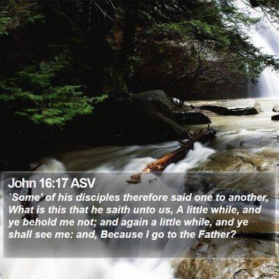 John 16:17 ASV Bible Verse Image
