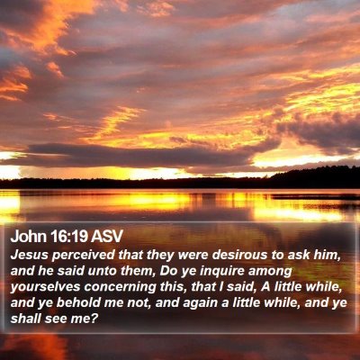 John 16:19 ASV Bible Verse Image