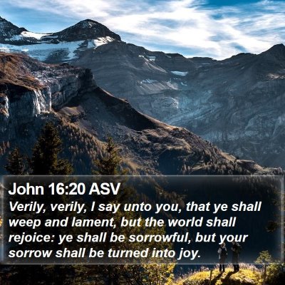 John 16:20 ASV Bible Verse Image