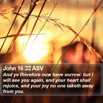 John 16:22 ASV Bible Verse Image