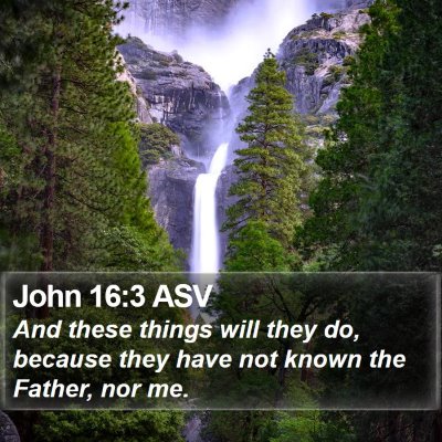 John 16:3 ASV Bible Verse Image