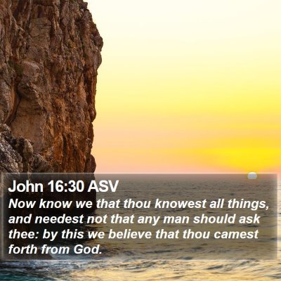 John 16:30 ASV Bible Verse Image