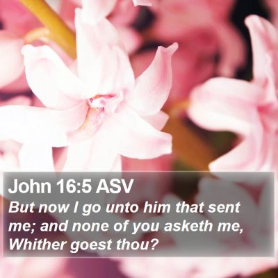 John 16:5 ASV Bible Verse Image