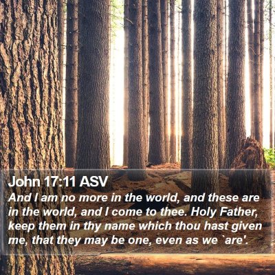 John 17:11 ASV Bible Verse Image