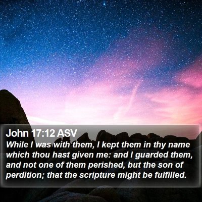 John 17:12 ASV Bible Verse Image