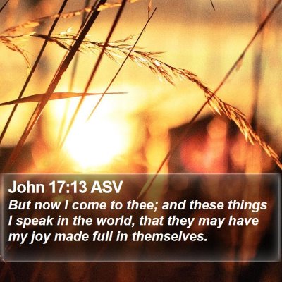 John 17:13 ASV Bible Verse Image