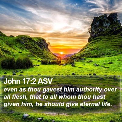 John 17:2 ASV Bible Verse Image