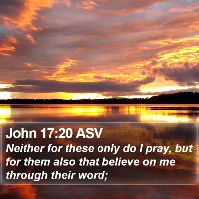John 17:20 ASV Bible Verse Image