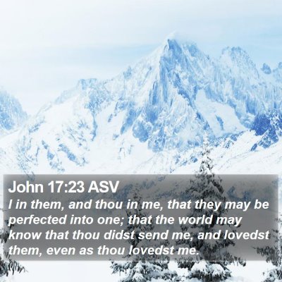 John 17:23 ASV Bible Verse Image