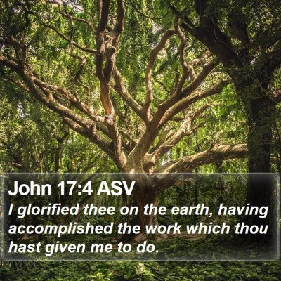 John 17:4 ASV Bible Verse Image