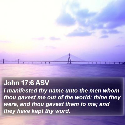 John 17:6 ASV Bible Verse Image