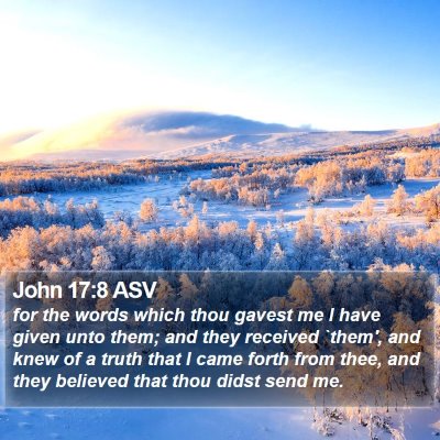 John 17:8 ASV Bible Verse Image