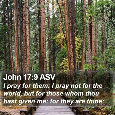 John 17:9 ASV Bible Verse Image