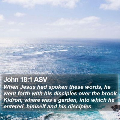 John 18:1 ASV Bible Verse Image