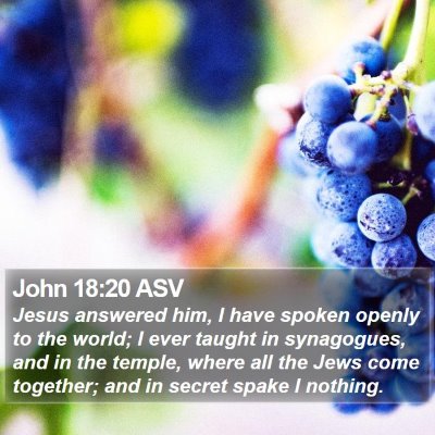 John 18:20 ASV Bible Verse Image