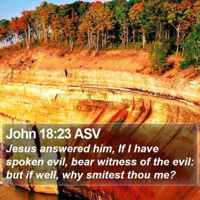John 18:23 ASV Bible Verse Image