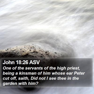 John 18:26 ASV Bible Verse Image