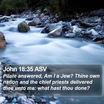 John 18:35 ASV Bible Verse Image