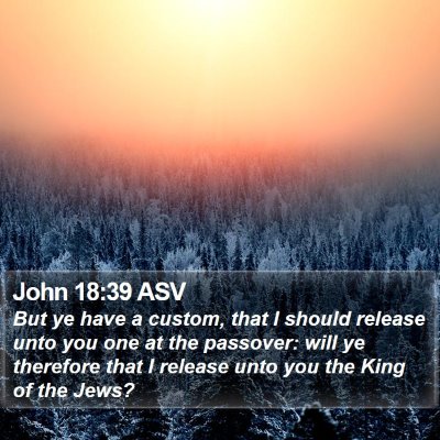 John 18:39 ASV Bible Verse Image