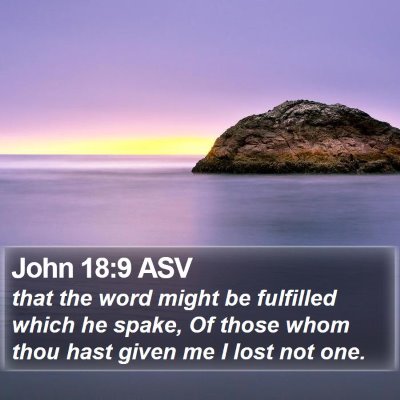 John 18:9 ASV Bible Verse Image