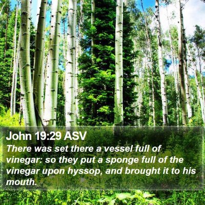 John 19:29 ASV Bible Verse Image
