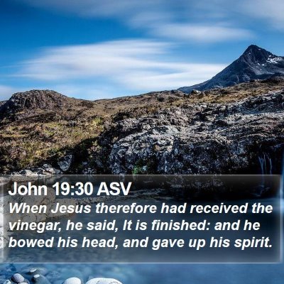John 19:30 ASV Bible Verse Image