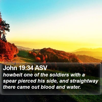 John 19:34 ASV Bible Verse Image