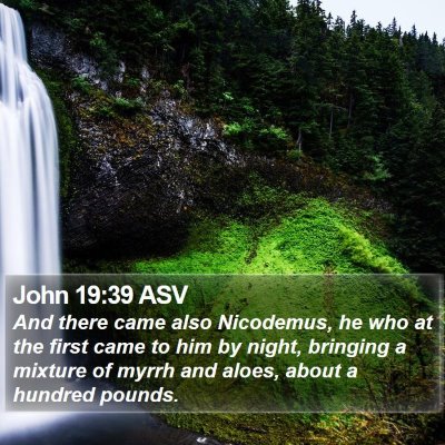 John 19:39 ASV Bible Verse Image