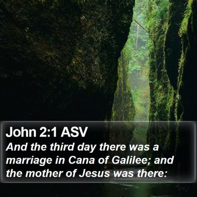John 2:1 ASV Bible Verse Image