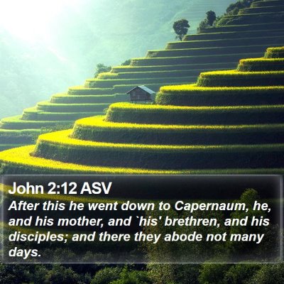 John 2:12 ASV Bible Verse Image