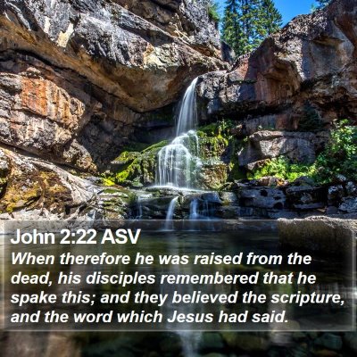 John 2:22 ASV Bible Verse Image